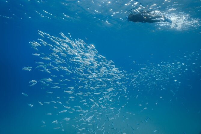 Guided Snorkeling Activity in Papagayo Beach Lanzarote