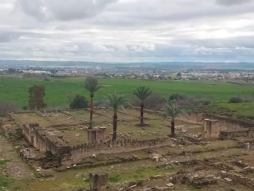 Guided Tour of Medina Azahara Only in French - Tour Overview