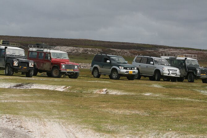 Gypsy Cove and the Main City Attractions in Falkland Islands - Exploring Gypsy Cove