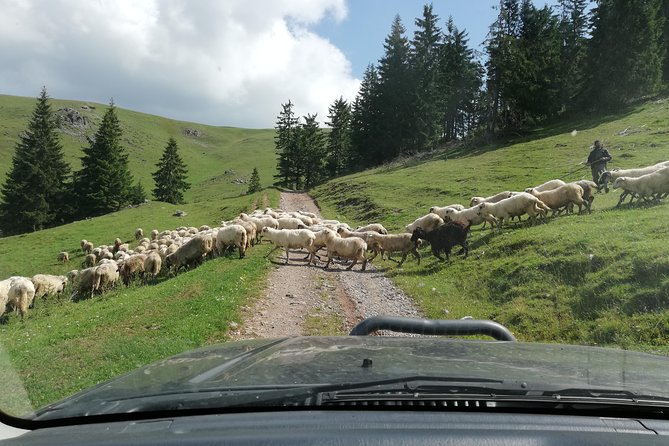 Half-Day 4×4 Tour in the Eastern Carpathians