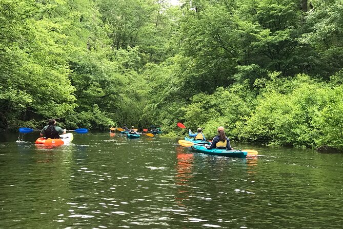 Half-Day Guided Kayaking in the Smoky Mountains of Tallassee