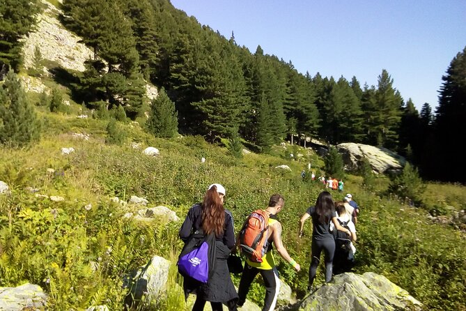 Best Guided Tours In Borovets