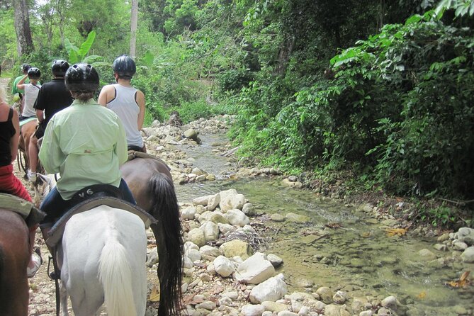 Half-Day Mountain Ride in Puerto Plata - Inclusions