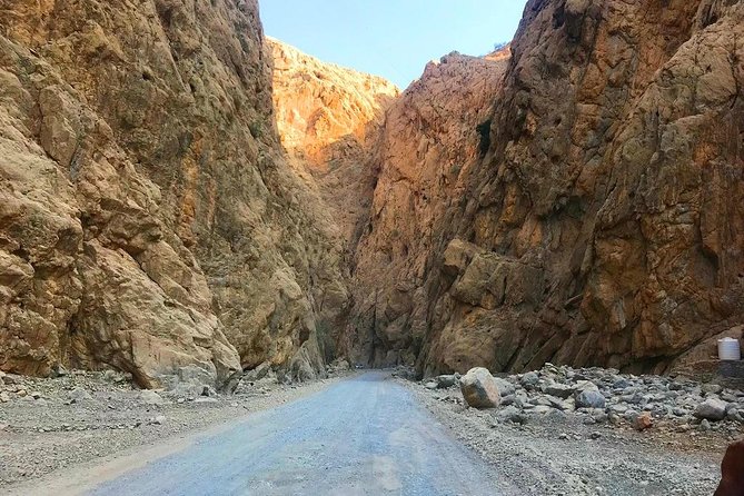 Half Day Mountain Safari to Jebal Harim