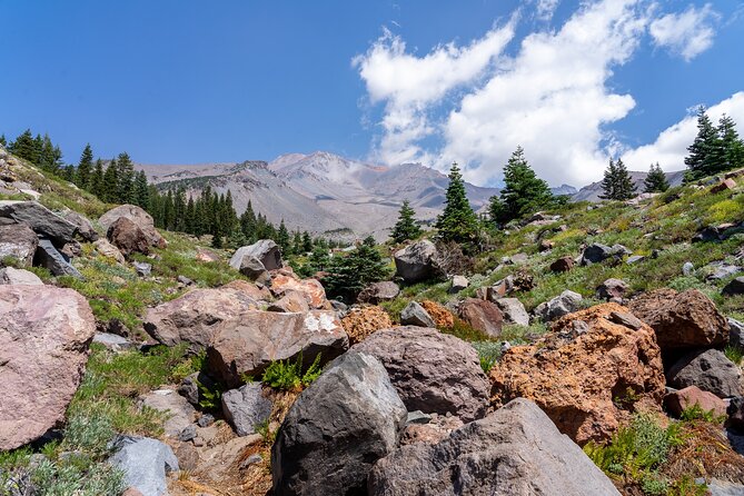 Half Day Tour to Faery Waterfalls, Castle Lake and Mount Shasta
