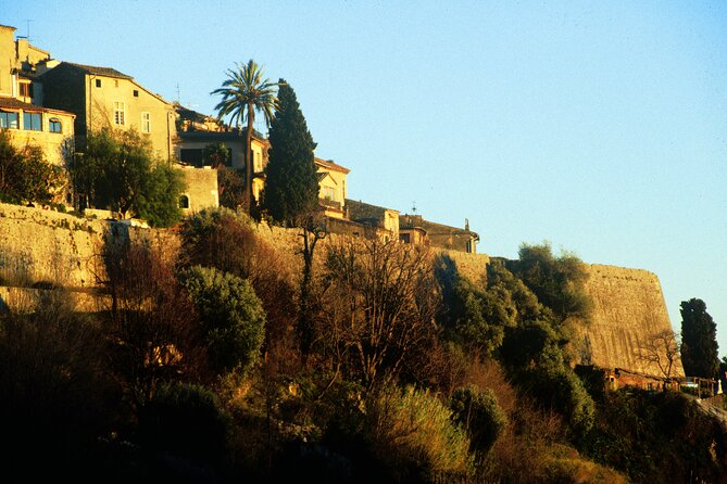 Half-Day Trip to St Paul De Vence and Cannes From Nice - Tour Overview and Highlights