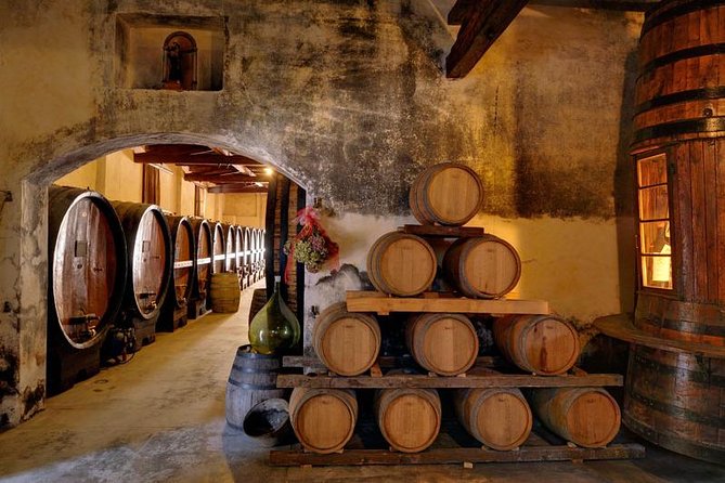 Half Day Venice Cruise Terminal Shore Excursion Wine Food Tasting Outlet Village - Explore the Cruise Terminal