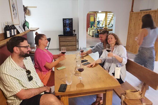 Half-Day Wine Tasting With Snacks and Ston Place Visit