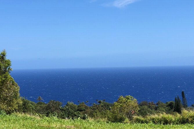 Hamakua Coast Farm Small-Group Walking and Tasting Tour - Tour Overview
