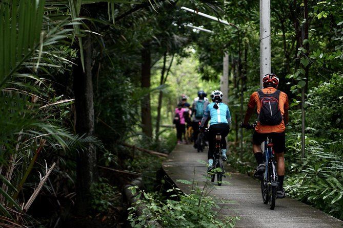 HD-06 Bang Krachao, Zigzag Through the Lung of Bangkok by Bicycle