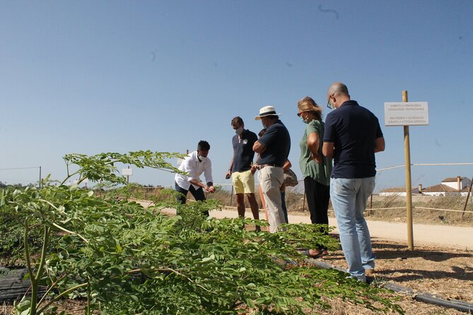 Healthy Eco-Finca and Pine Forest Experience
