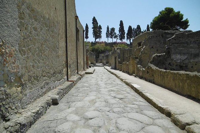 Herculaneum Private Tour From Naples