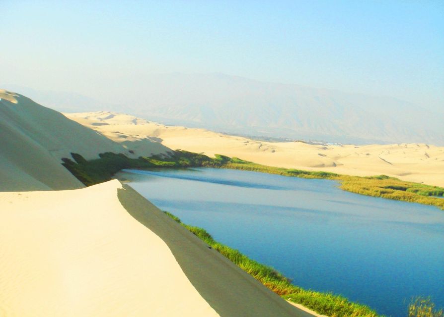 Hidden Oasis in Paracas - Buggy and Sandboarding - Tour Overview