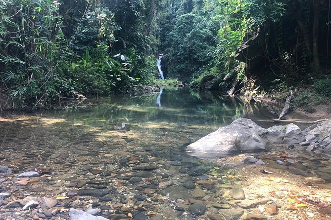 Hike to Paria Waterfall Trinidad Most Spectacular Waterfall. - Tour Overview