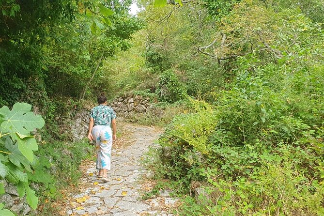 Hike to the Sky, Meditate and Eat Delicious Grandma Food. - Activity Overview
