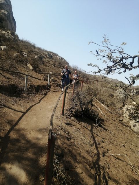 Hiking Lomas De Lachay in Lima - Overview of Lomas De Lachay