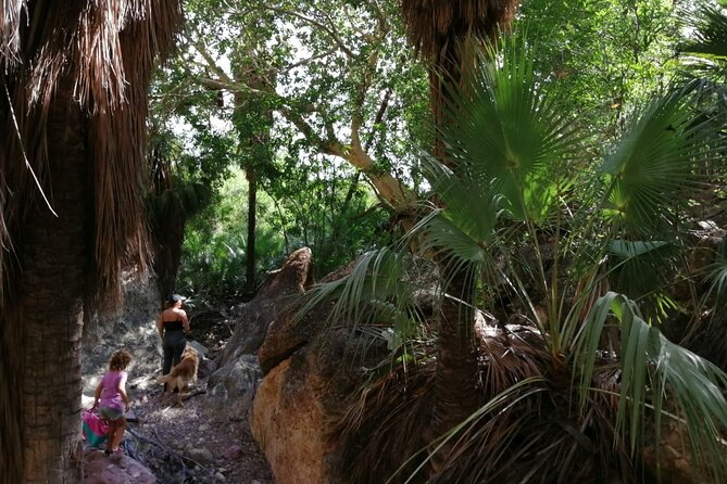 Hiking to Desert Palm Oases of San Carlos With a Biologist - Meeting and Pickup Details