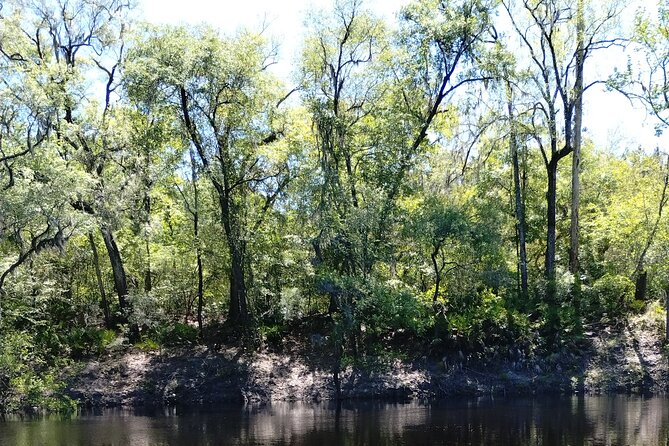 Historic Mystery Walking Tour in Florida