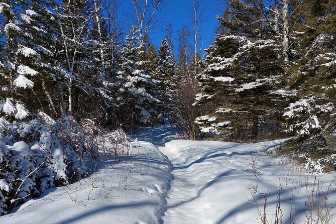 Hok Skiing Introduction (Lutsen, Caribou Highlands)