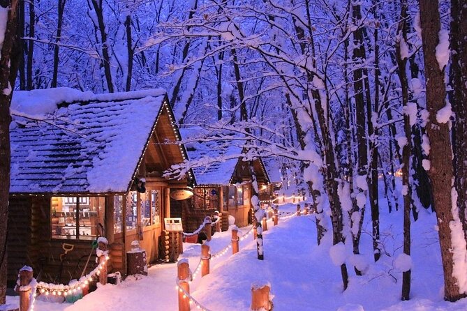 Hokkaido Day Trip From Sapporo: Asahiyama Zoo to Ningle Terrace