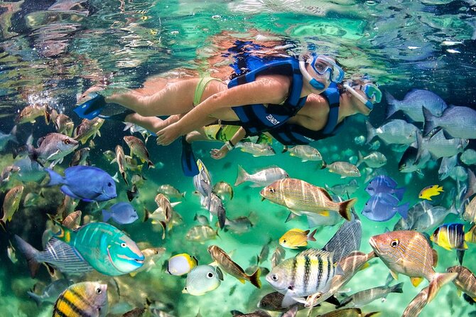 Hookah Diving, Snorkel, Parasail & Party – Bavaro Combo Adventure