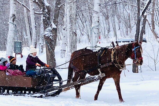 Horse-Drawn Sleigh & Making Local Cuisine