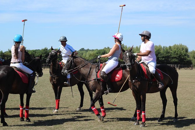 Horse & Polo in Windsor, UK