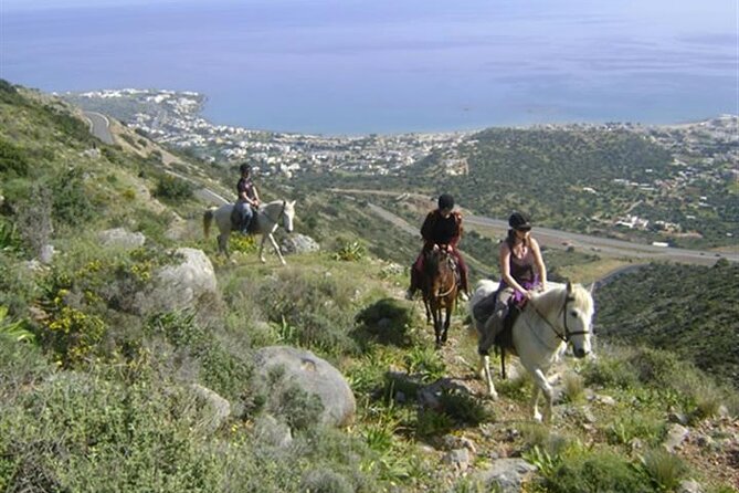 HORSE RIDING 1.5 Hours Mountains From Area Hersonissos CRETE - Tour Overview and Pricing