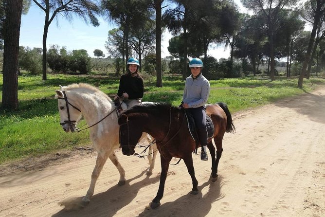 Horseback Riding Exclusive for Couples, in Doñana Natural Park, Seville