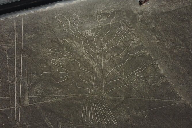 Huacachina Oasis and Nazca Lines Overflight 2D/1N