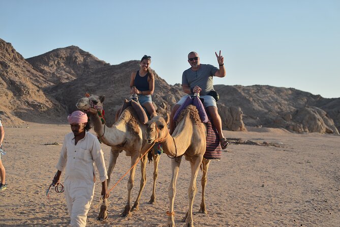 Hurghada Desert Stargazing Tour by Jeep & Quad With Dinner - Tour Highlights