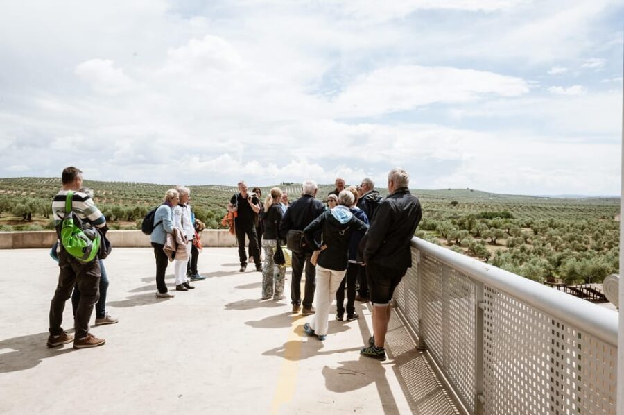 Jaén: Unforgettable Visit to the Olive Mill + EVOO Tasting
