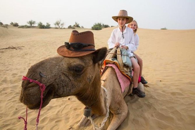 Jaisalmer Desert Camping (Luxury Swiss Tent)
