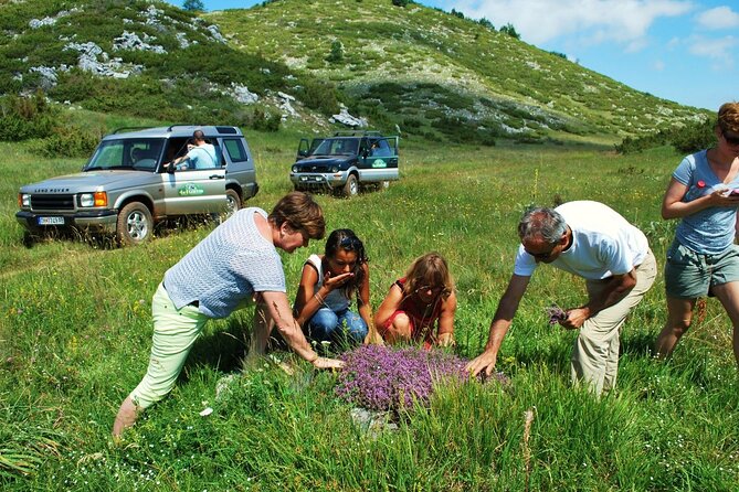 Jeep Safari National Park Galicica