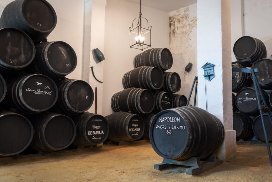 Jerez: Bodegas Álvaro Domecq Guided Tour With Wine Tasting