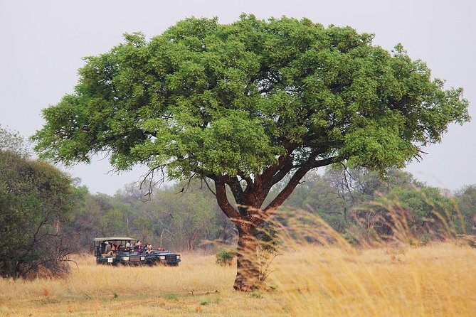 Johannesburg Like a Local: Customized Private Tour - Meeting Point Details