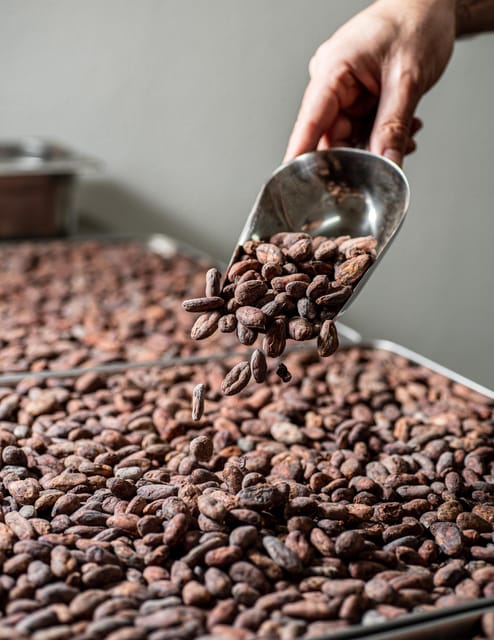KAIACAO Bean to Bar and Design Your Own Chocolate Experience - Experience Overview