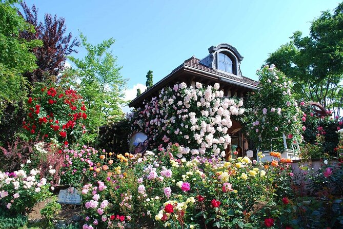 Kawaguchiko Music Forest Museum Admission Ticket
