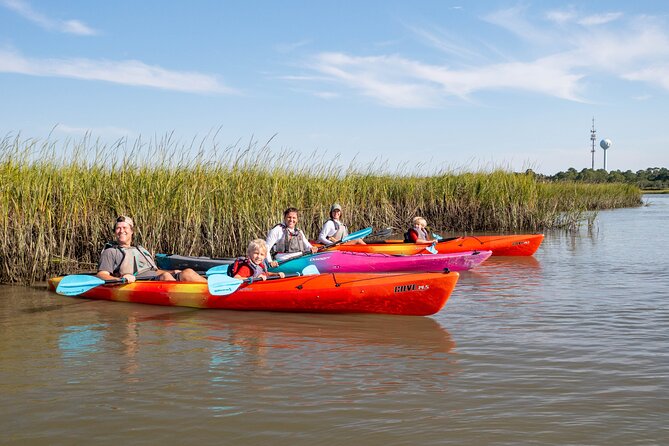 Kayak Activity and Sightseeing in Dolphin Safari Review