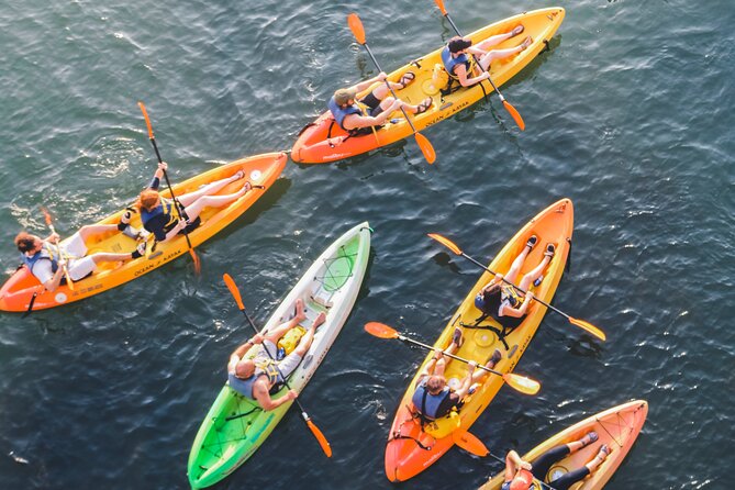 Kayak Rentals on Lady Bird Lake Review - Overview of Kayak Rentals on Lady Bird Lake