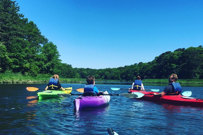 Kayak The Creek Nature Tour - Inclusions and Amenities