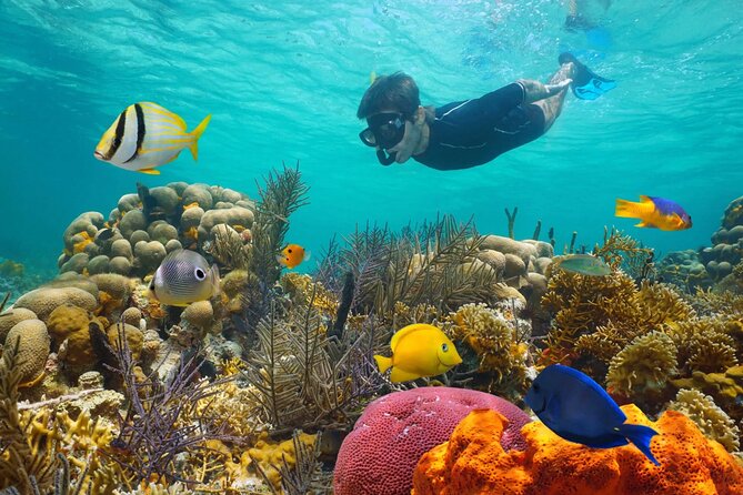 Key West: 3hr Snorkeling Experience With Unlimited Drinks