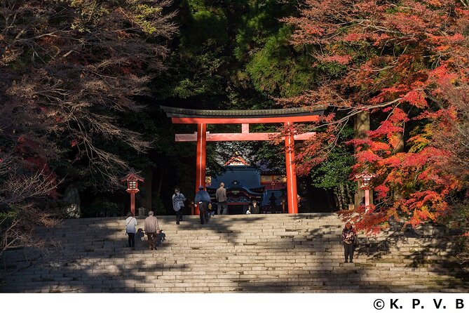 Kirishima Shrine and Ebino Kogen Trekking Private Tour