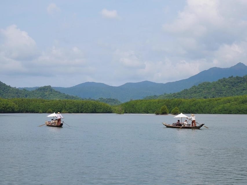 Koh Chang: Mangrove Forest Gondola Tour