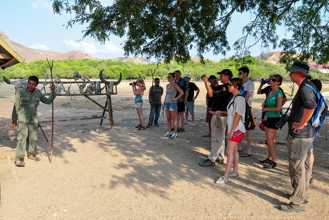 Komodo Island Adventure From Bali (Day Trip)