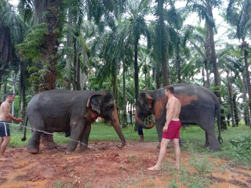 Krabi Elephant Bathing and Atv Adventure (30min/30min)