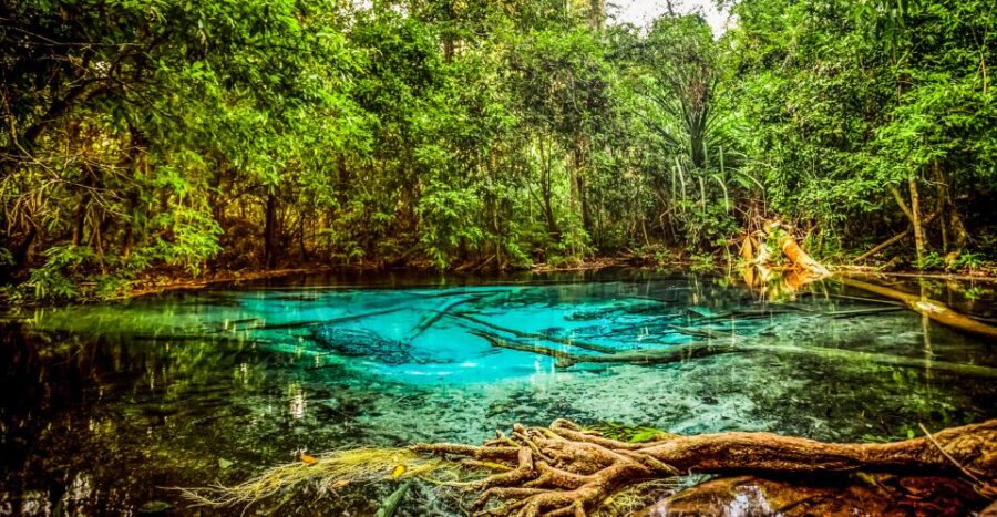 Krabi: Tiger Cave Temple, Emerald Pool and Hot Springs Tour