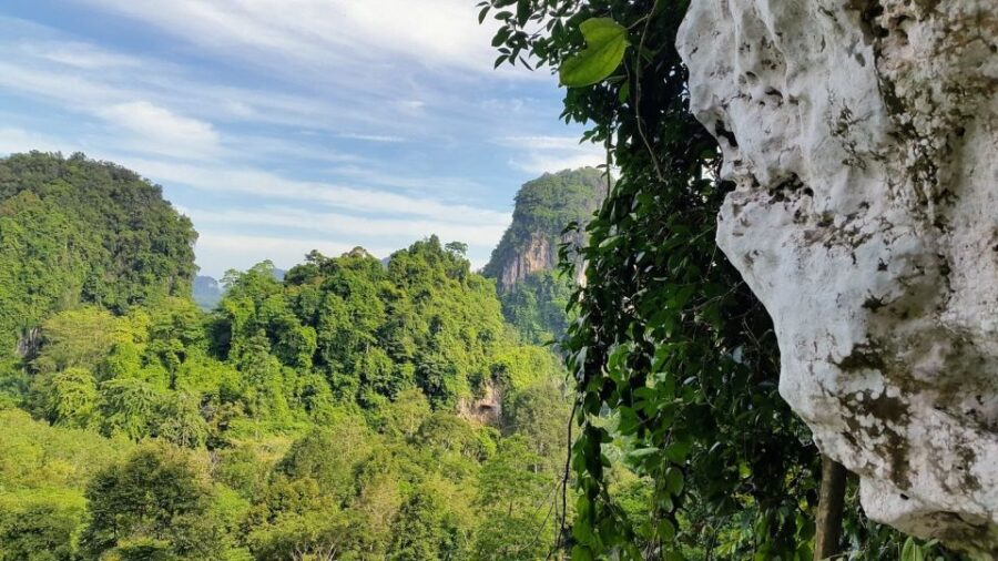 Krabi: Ziplining With Abseiling and Rock Climbing Options