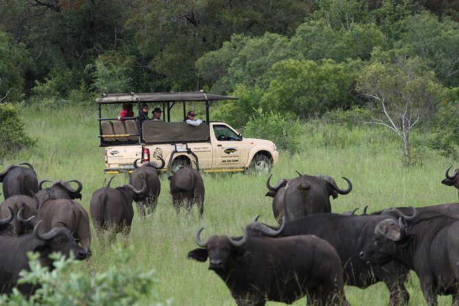 Kruger Park Safari Private Full-Day Tour From Marloth Park - Tour Overview