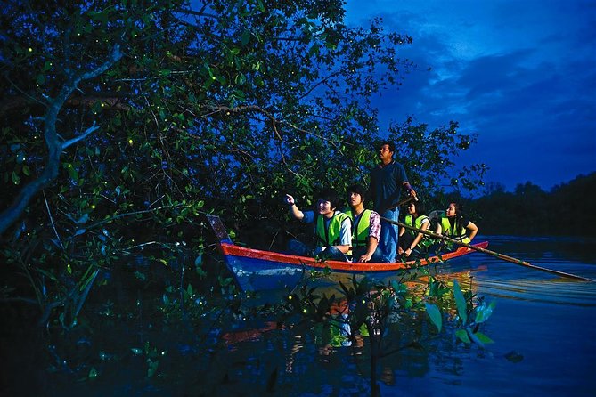 Kuala Selangor Fireflies Tour